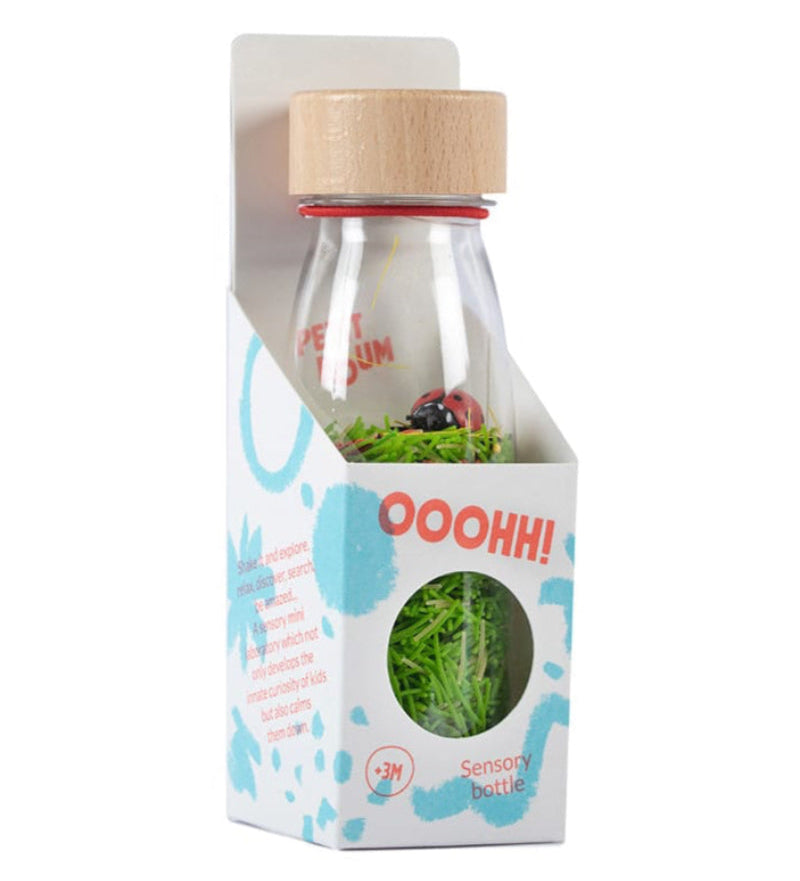 Buy Petit Boum sensorische fles Sound Ladybird 3 mnd+