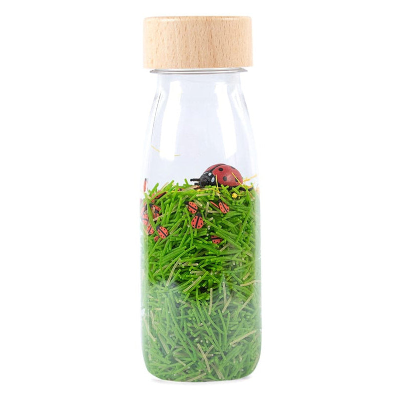 Petit Boum sensorische fles Sound Ladybird 3 mnd+PBSLADYBIRDSc