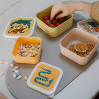 Petit Monkey snackbox set upside down animals 12 x 12 cmLB56-Rd