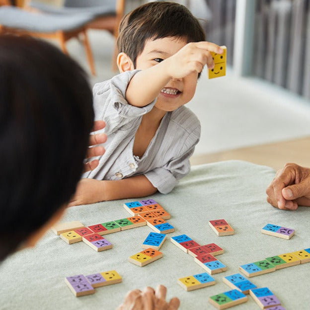 Buy Plan Toys domino emoties 3 jr+