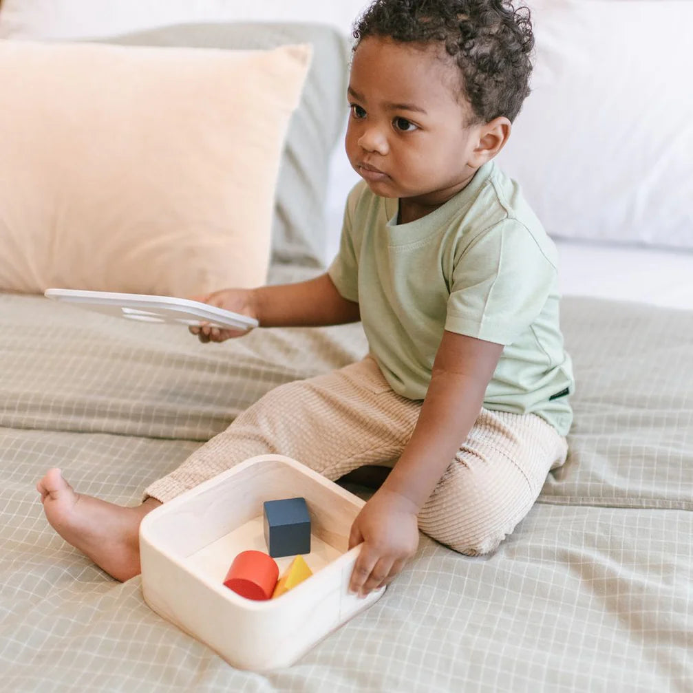 Buy Plan Toys vormenstoof 1 jr+