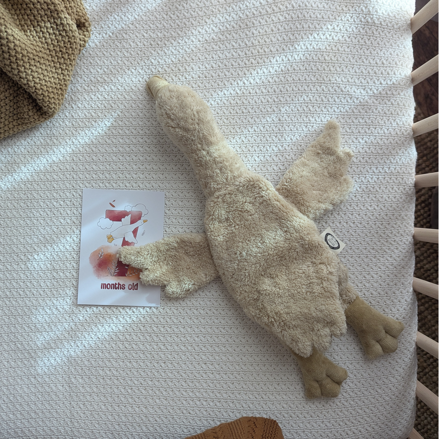 Buy Senger Naturwelt warmte knuffel gans linen klein 2 mnd+