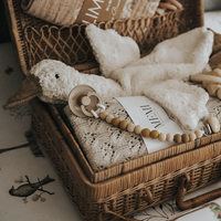 Senger Naturwelt heat soft toy goose white small 2 months+