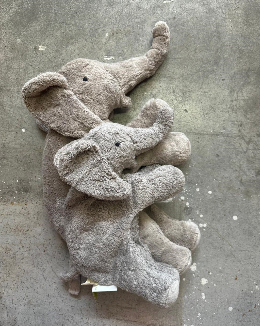 Senger Naturwelt heat cuddly toy elephant large 2 months + 100% organisch katoen + lamswol + spelt