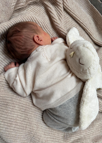 Senger Naturwelt warmte knuffel sneeuwuil klein 2mnd+ Y21087