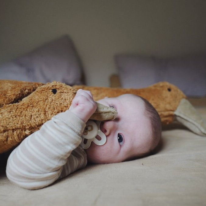 Senger Naturwelt warmteknuffel gans roest klein 2mnd 4260429480104 d