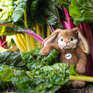 Steiff knuffelkonijn Bommel 28 cm bruin 4001505067471 a
