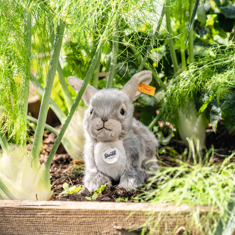 Steiff knuffelkonijn Dormili 21 cm grijs 4001505067488