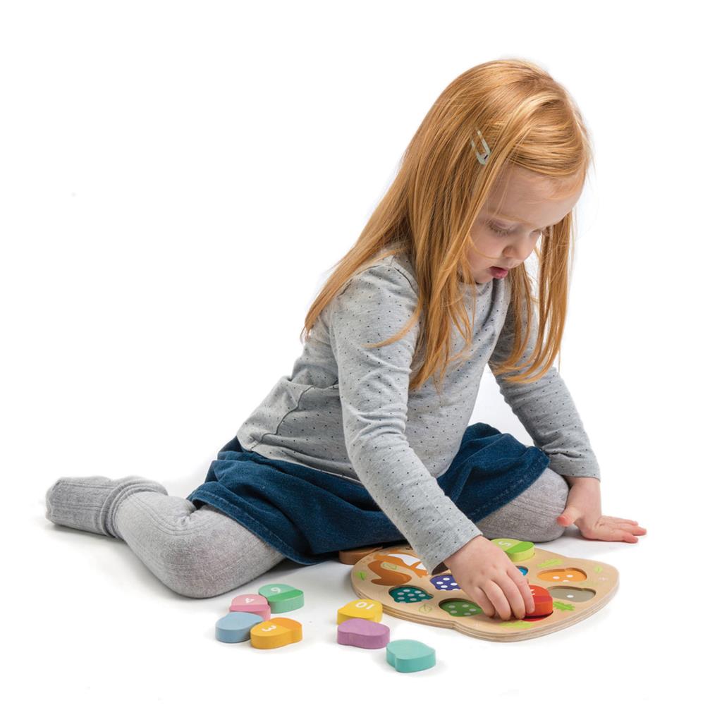 Tender Leaf Toys count the nuts 18 months + 191856084150