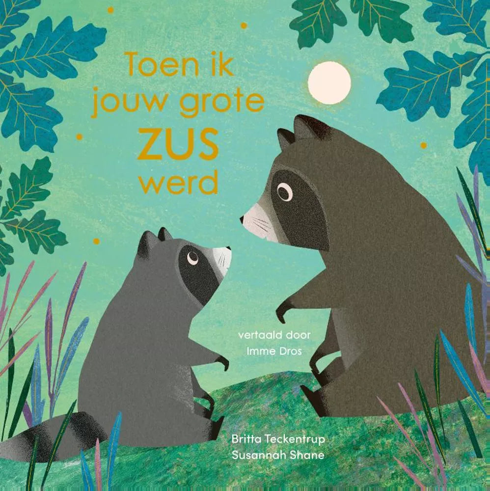 Toen ik jouw grote zus werd 3 jr+