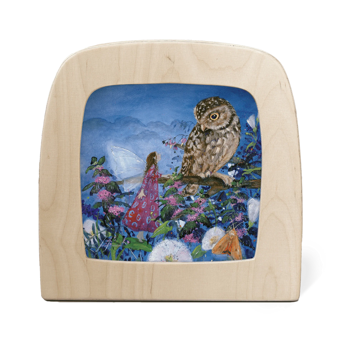 Toverlux toverplaat Daniela Dreschler Little fairy can't sleep Owl  6097604357306 a