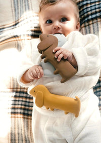 We are gommu bijtspeeltje teckel Choco 0 mnd+