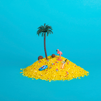 Petit Boum sensorische fles Sound Toucan 3 mnd+