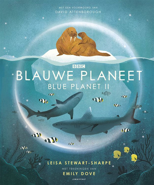Blue planet 7 yrs+