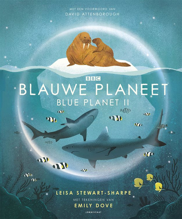 Blue planet 7 yrs+