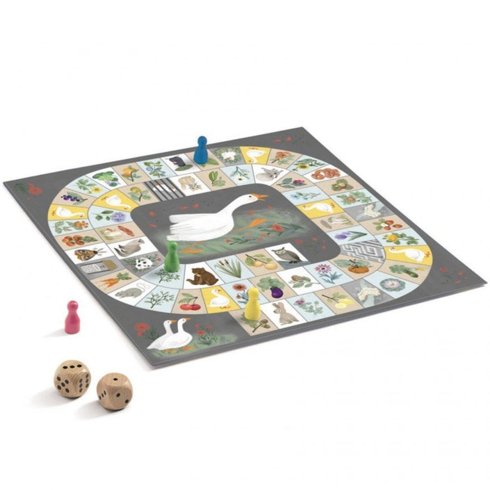 DJECO goose board 5-12 yrs