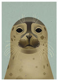 Dieter Braun postcard Seal