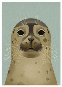 Dieter Braun postcard Seal