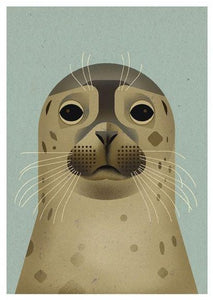 Dieter Braun postcard Seal