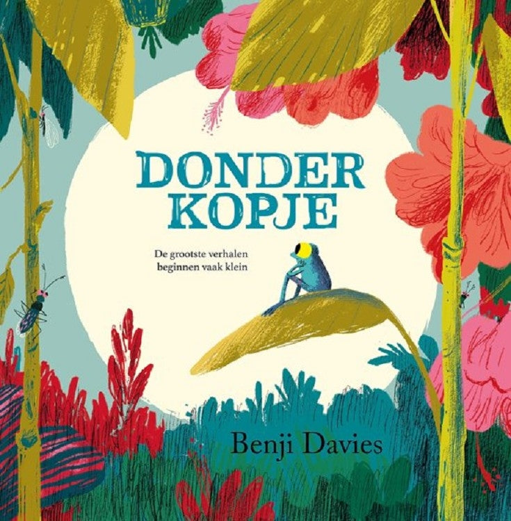 Donderkopje kartonboekje 3 jr+