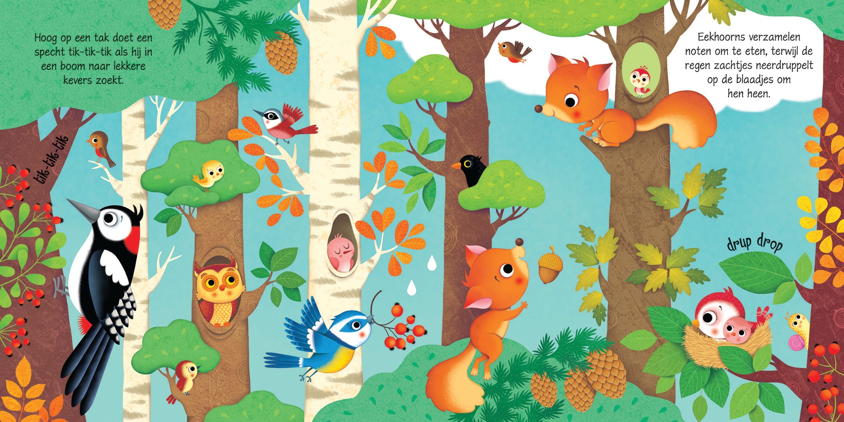 Sounds in the forest - sound book 1 yr+