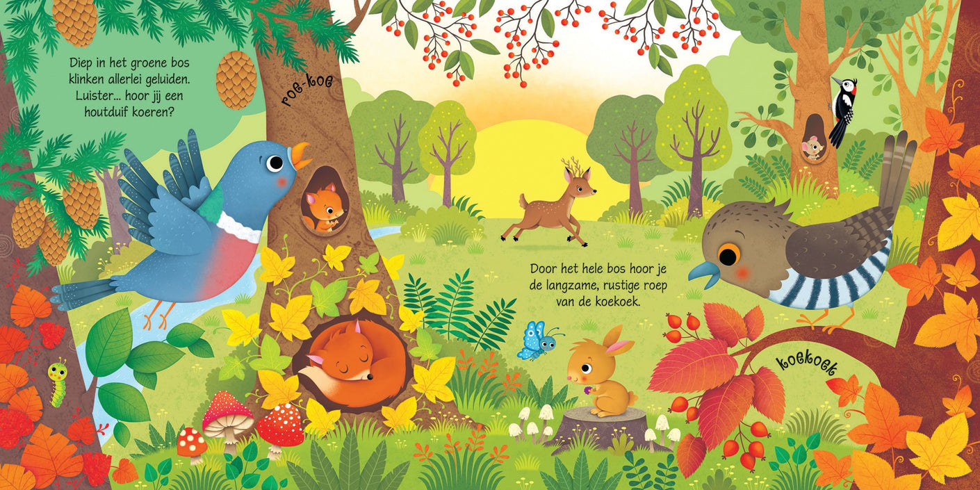 Sounds in the forest - sound book 1 yr+