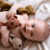 HVID cuddle cloth Teddy tokki brick