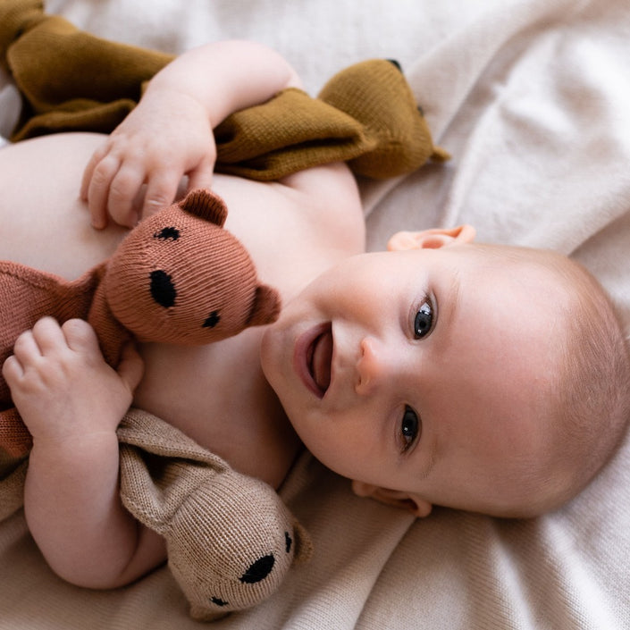 HVID cuddle cloth Teddy tokki sand