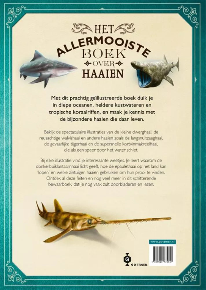 The most beautiful book about sharks 8 years +