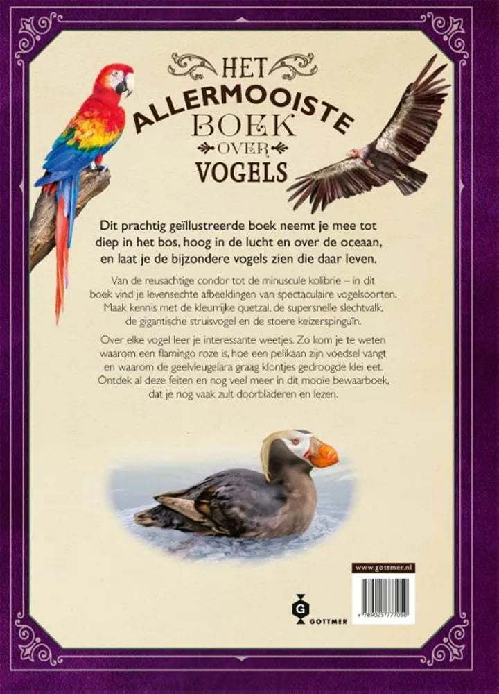 Buy The most beautiful book about birds 8 years +