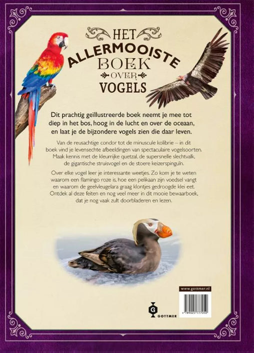 The most beautiful book about birds 8 years +