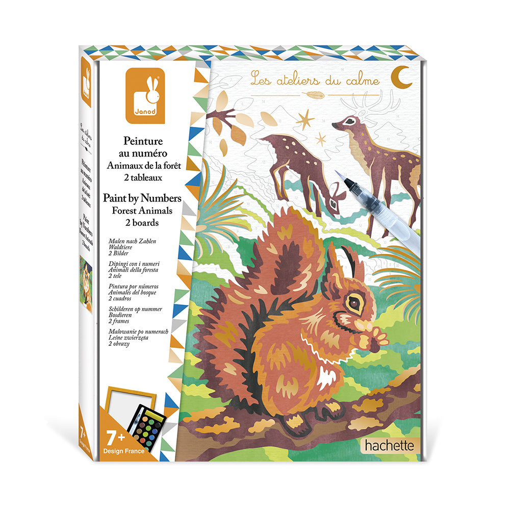 JANOD painting by numbers Woodland animals 7yrs+