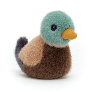 Jellycat cuddly toy Birdling mallard