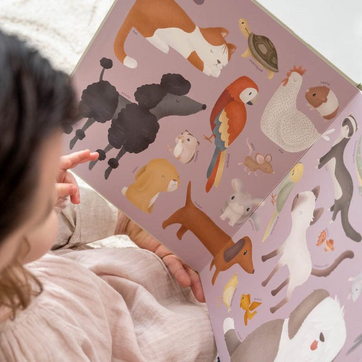 Panda, where are you? 2 yrs+