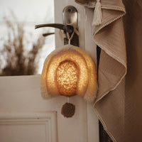 Mrs Ertha music box with light rainbow