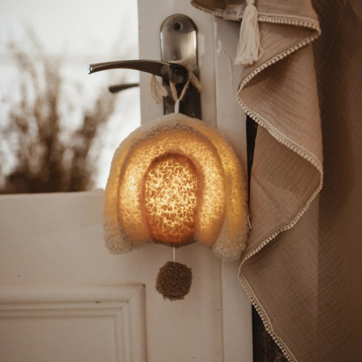 Mrs Ertha music box with light rainbow