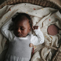 Mushie hydrophilic cloth dino