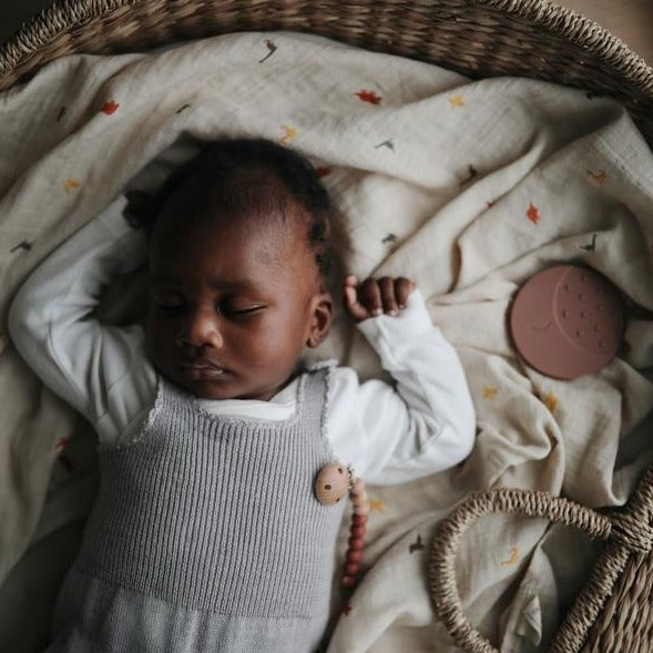 Mushie hydrophilic cloth dino