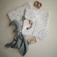 Mushie hydrophilic cloth sparrow