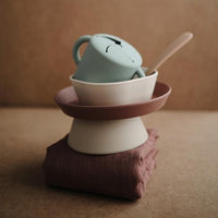 Mushie silicone bowl cloudy mauve