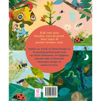 Discover the big world of small insects 3 yrs+