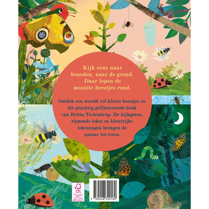 Discover the big world of small insects 3 yrs+
