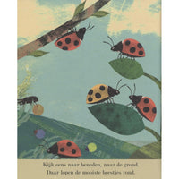 Discover the big world of small insects 3 yrs+