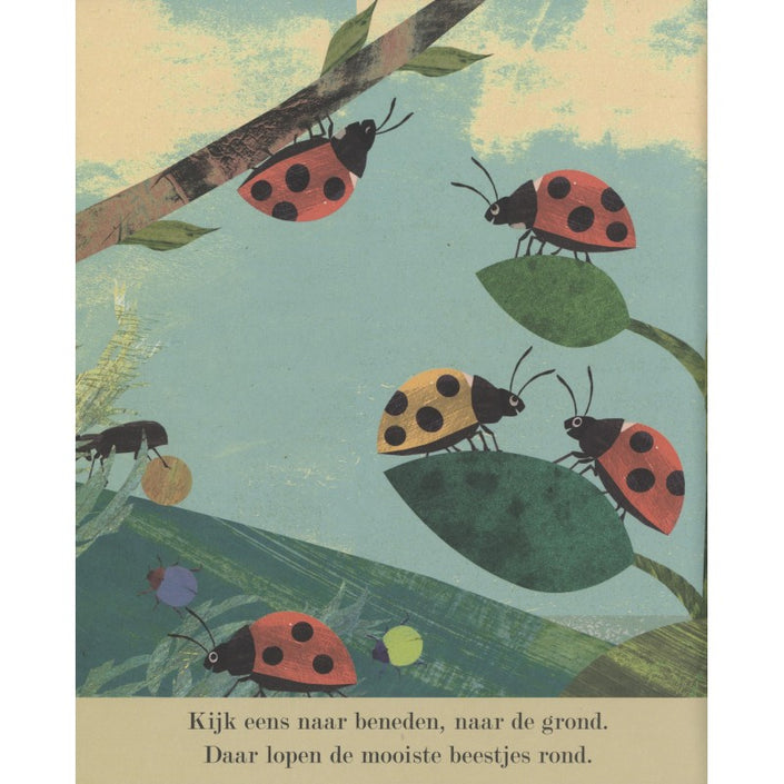 Discover the big world of small insects 3 yrs+