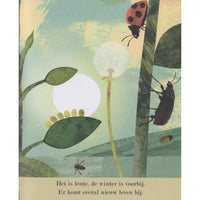 Discover the big world of small insects 3 yrs+