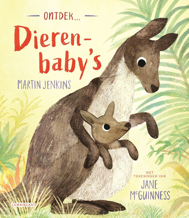 Discover Animal Babies 4yrs+