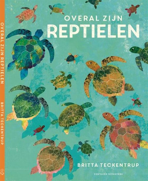 Reptiles are 6 yrs+ everywhere