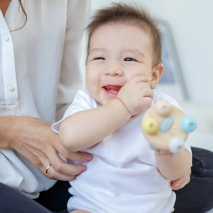 PLAN TOYS rattle 4 m+