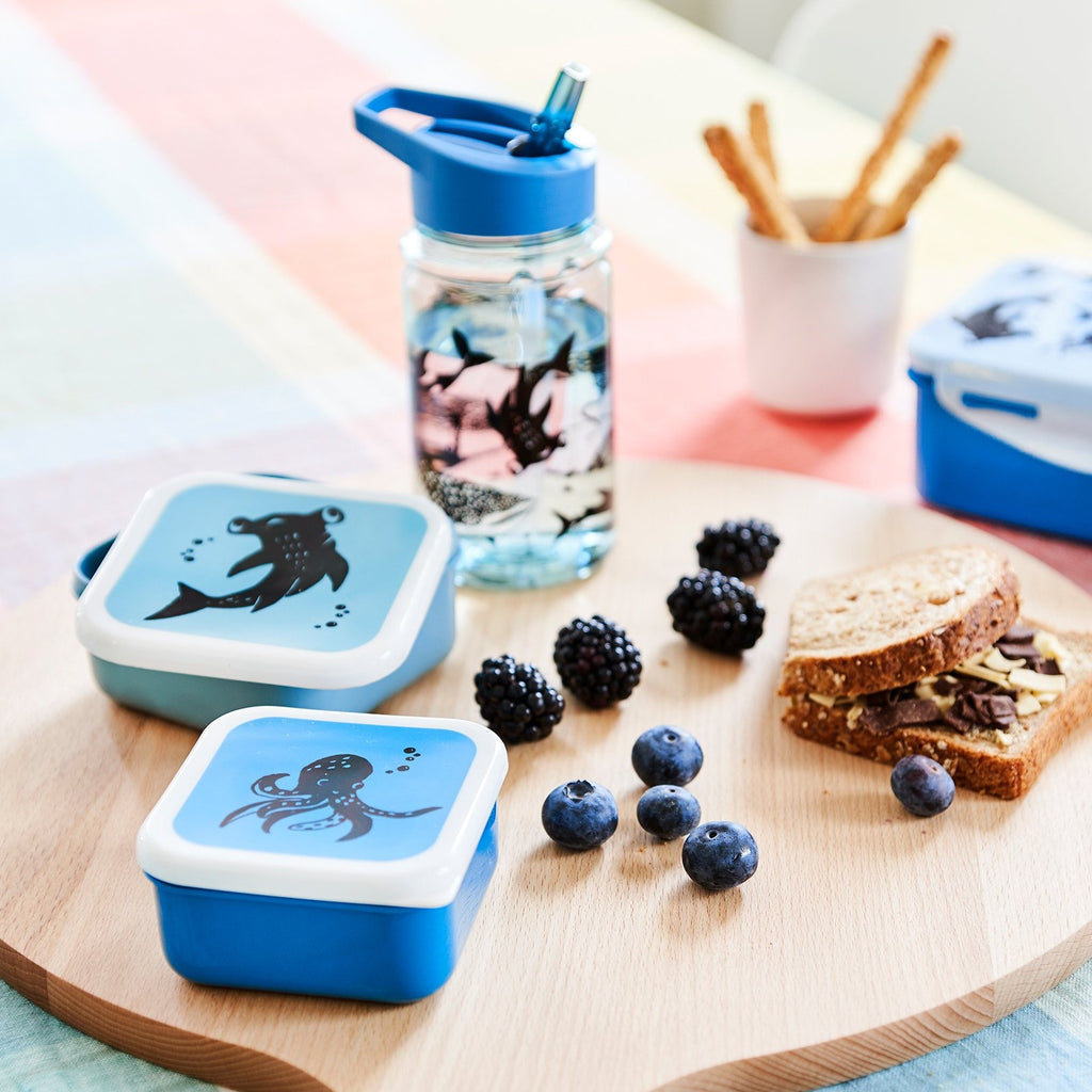 Petit Monkey drum set Sea animals 12 x 12 cm PP + PE