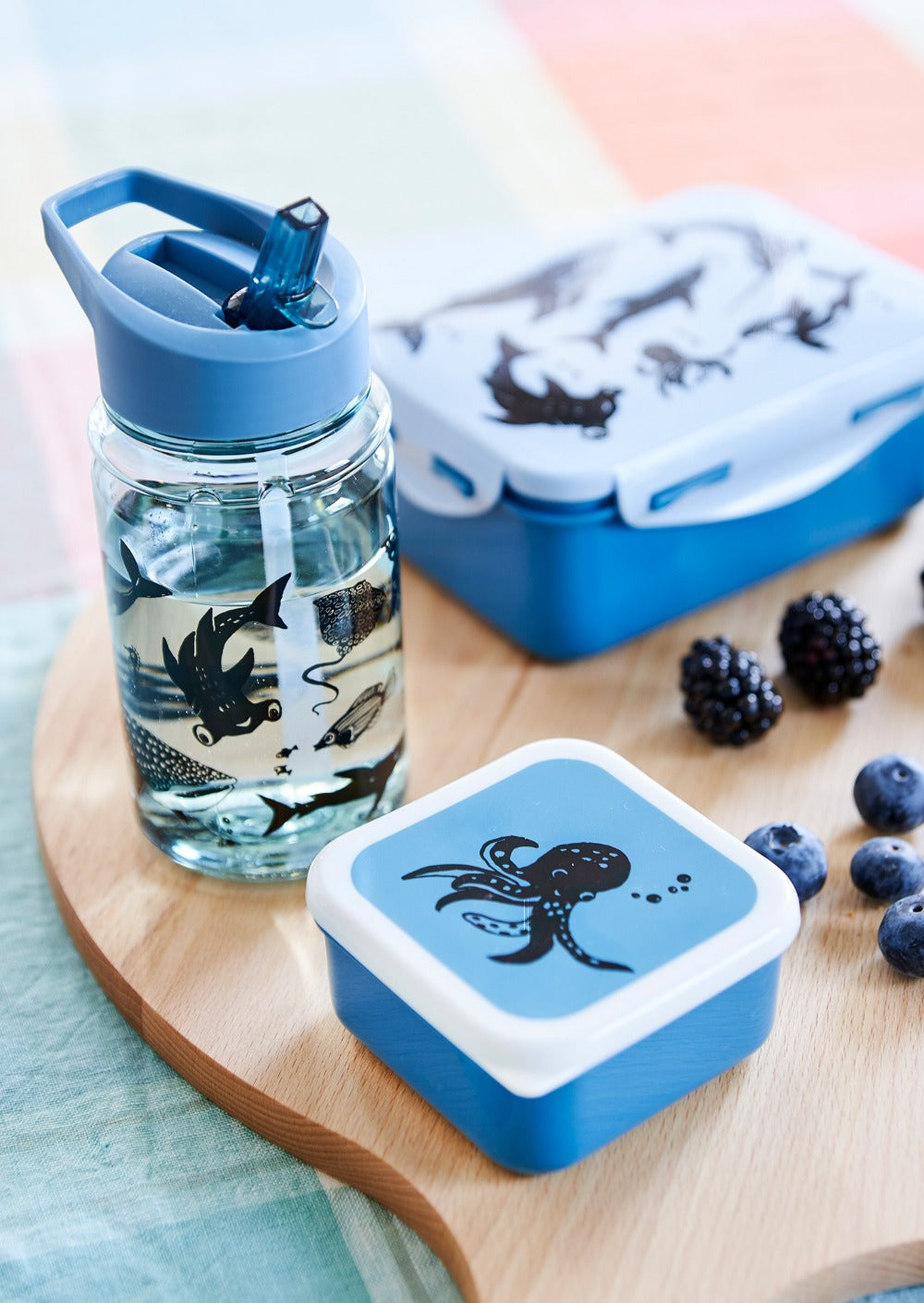 Petit Monkey drum set Sea animals 12 x 12 cm